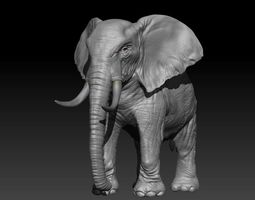 elephant 3d model free download
